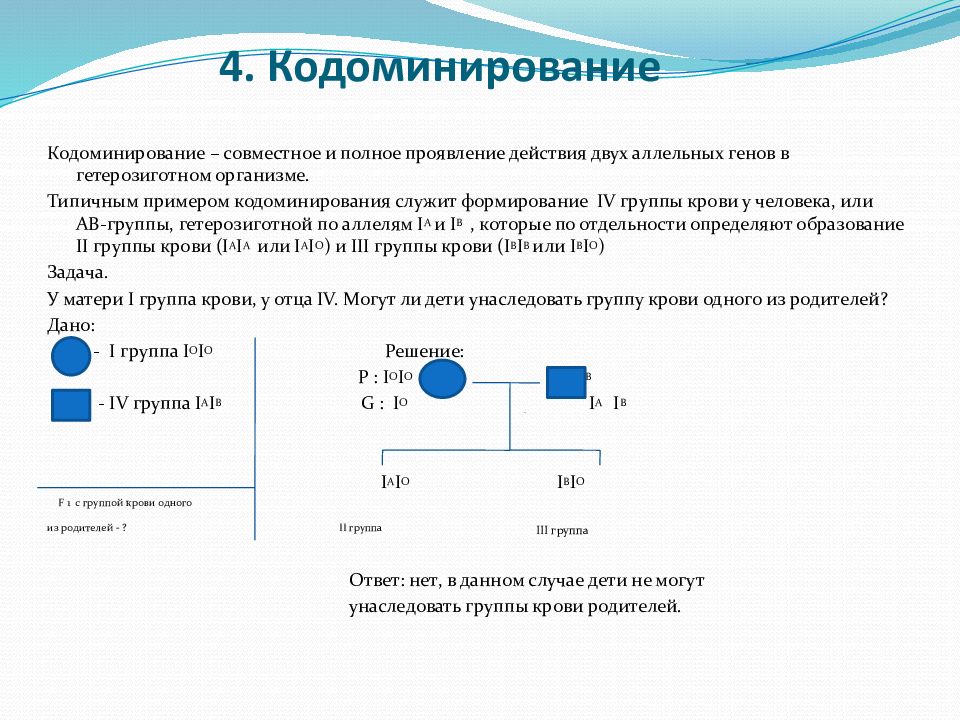 Задачи по генетике презентация