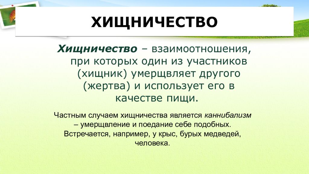 Презентация биотические факторы среды 11 класс профильный уровень