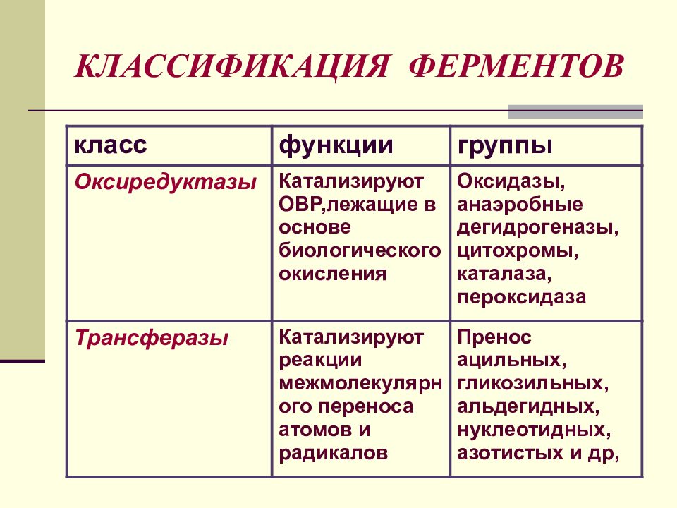 Ферменты презентация 10 класс