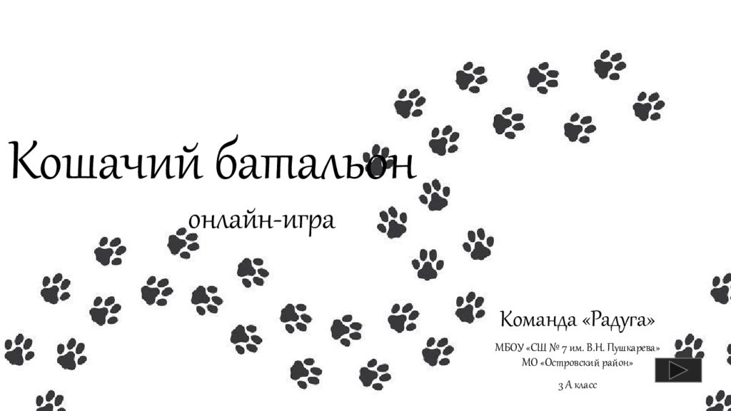 Кошачий батальон