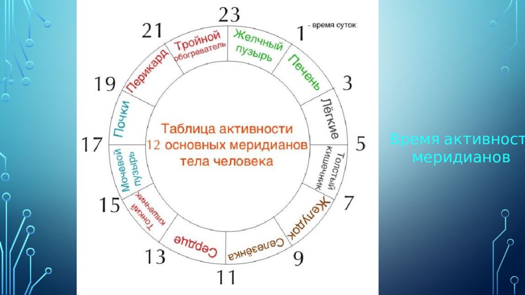 Время активности органов. Часы активности меридианов. Активность меридианов человека. Активность меридианов человека по часам. Меридианы активность по времени.