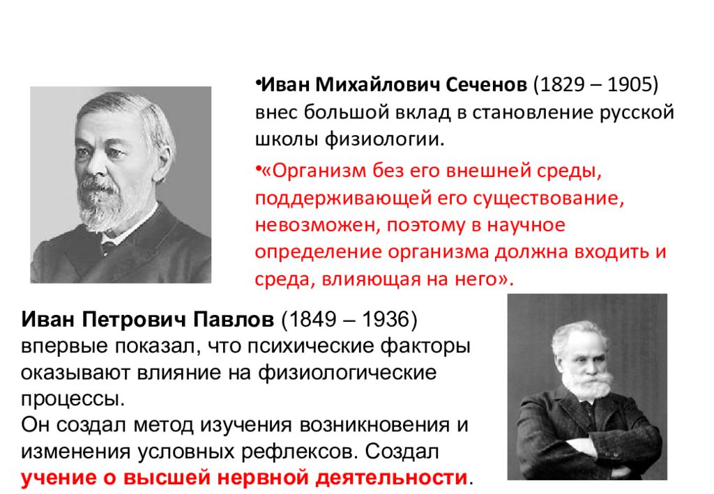 Внес большой вклад. Сеченов Иван Михайлович вклад. Сеченов Иван Михайлович вклад в психологию. Иван Михайлович Сеченов (1829 – 1905) вклад. Иван Михайлович Сеченов вклад в биологию.