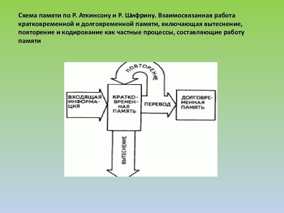 Схема памяти по р аткинсону и р шифрину