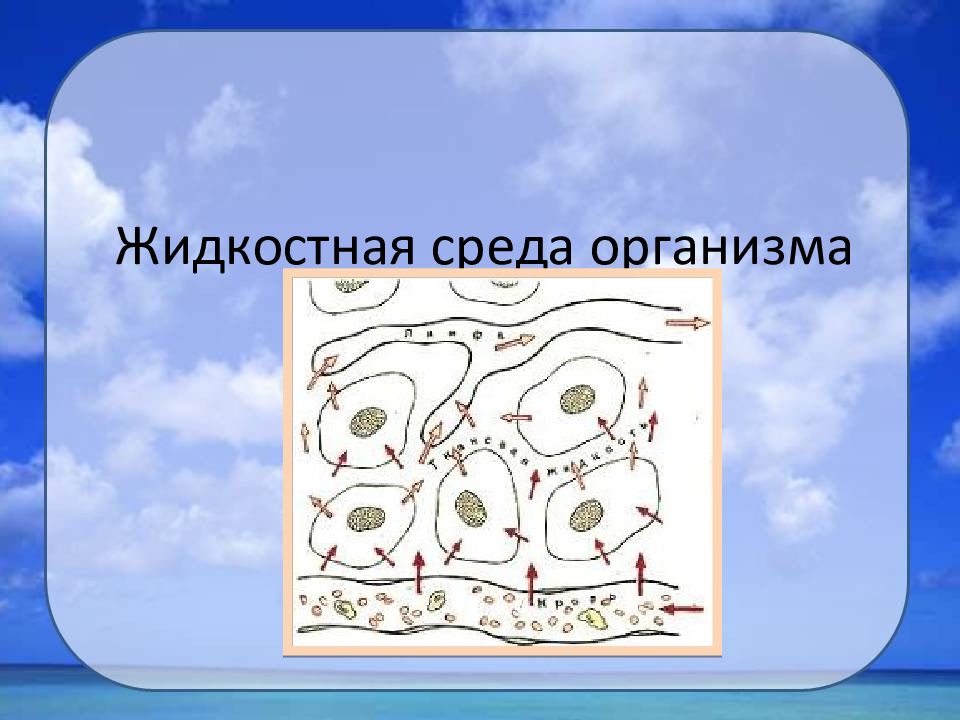 Организм и среда. Жидкостные среды организма. Жидкостная структура организма человека. Стерильные среды организма.