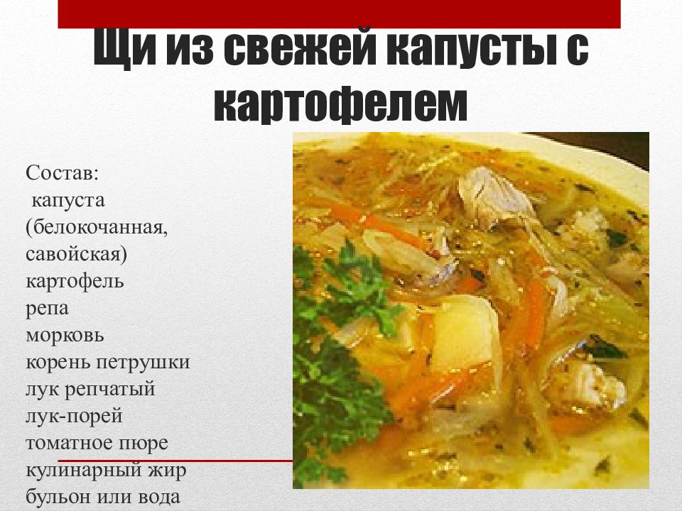 Технологическая схема щи из свежей капусты с картофелем