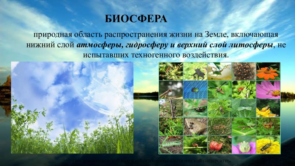 Природна область. Биосфера это область распространения жизни на земле. Что такое Биосфера природная область распространения жизни. Область распространения жизни. Биосфера область распространения жизни на земле включающая.