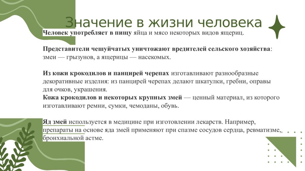 Общая характеристика пресмыкающихся