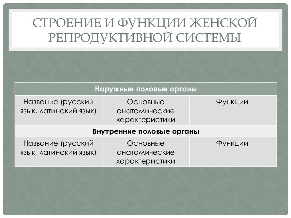 Особенности мужского и женского организмов