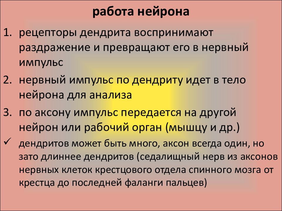 Морфофункциональные особенности нервной системы тест. Морфофункциональная характеристика нервной системы. Общая морфофункциональная характеристика нервной системы.