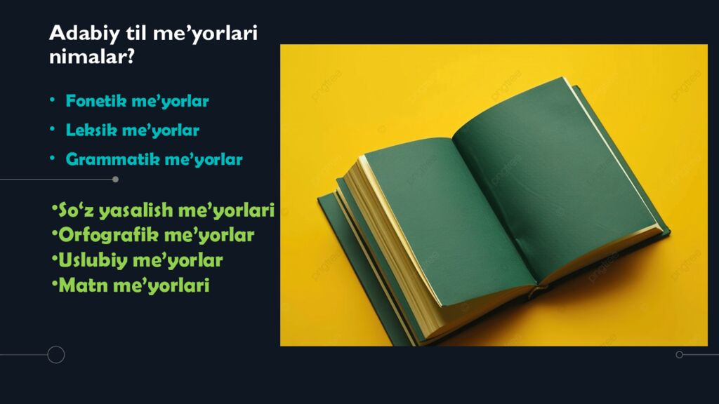 Adabiy til me’yorlari nimalar ?