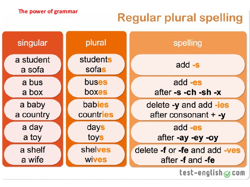 Wordwall spotlight plurals. Plural form Rule. Regular plurals. Plural forms of Nouns исключения. Noun singular and plural правило.