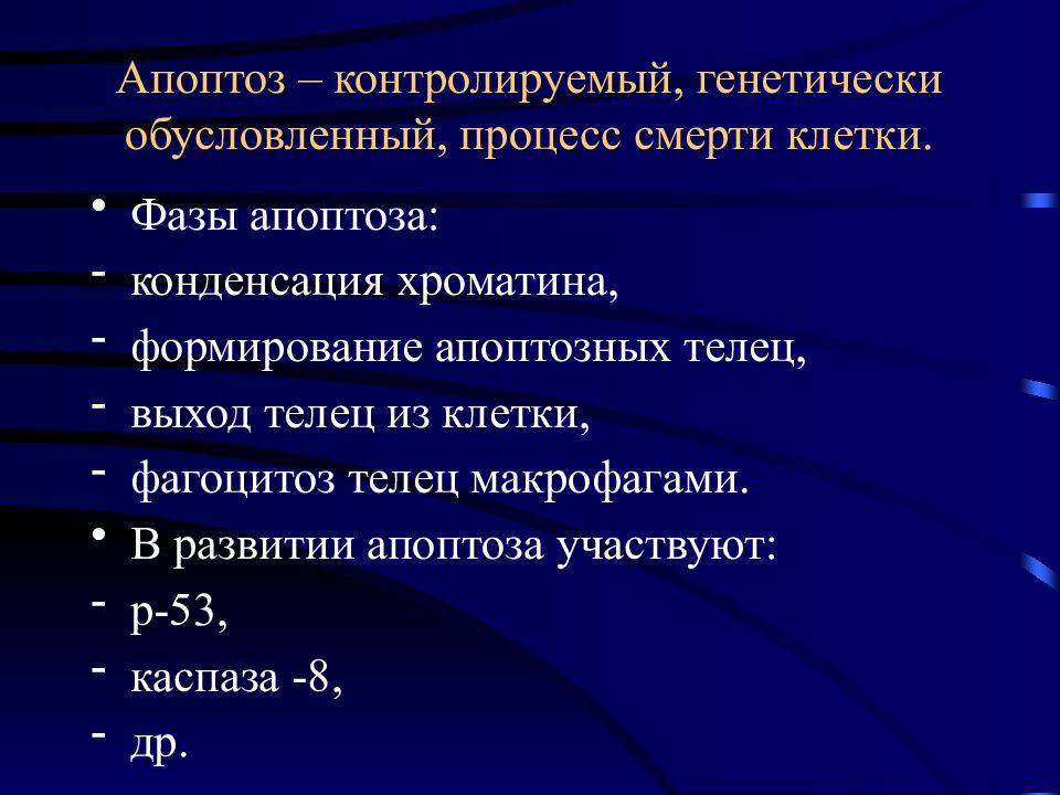 Введение в патологическую анатомию презентация