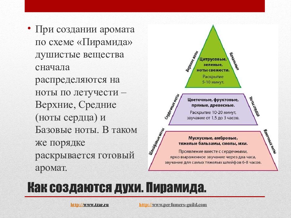 Пирамида аромата картинки