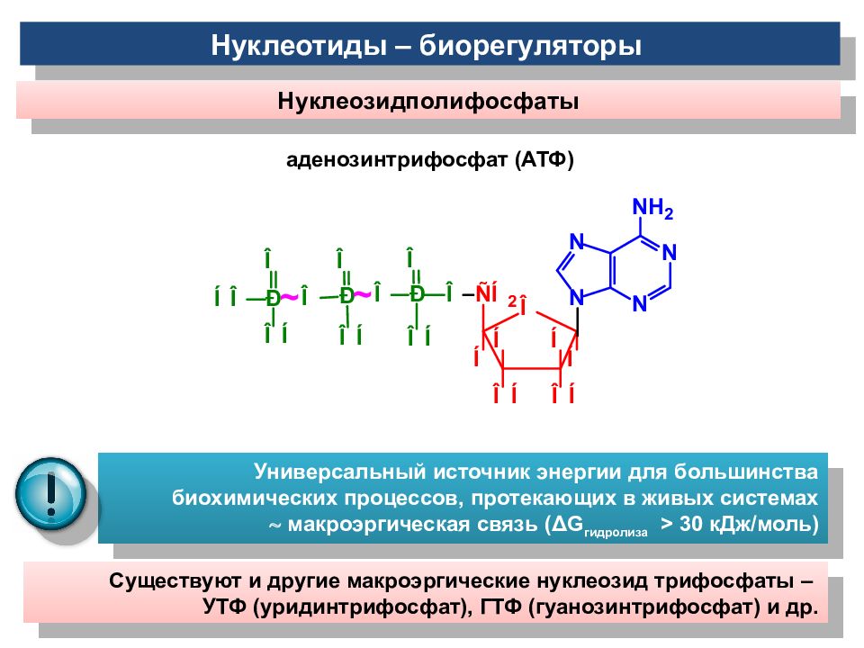 Макроэргические связи в молекуле атф. Нуклеотид АТФ. АТФ И другие нуклеотиды витамины. Связи в нуклеотидах. Макроэргическая связь в нуклеотиде.