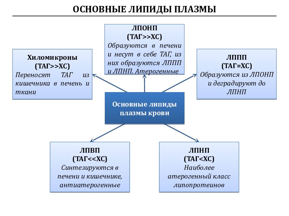 Сердечно сосудистые препараты презентация