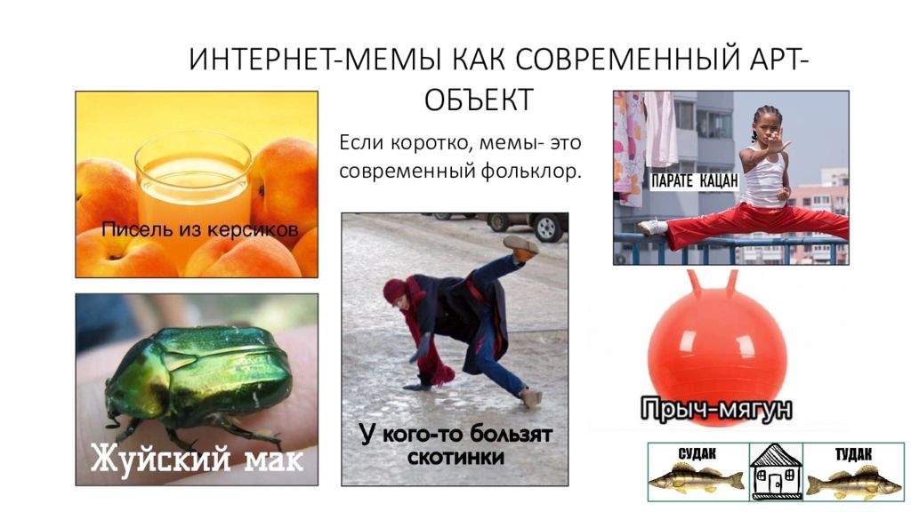 Интернет мемы презентация