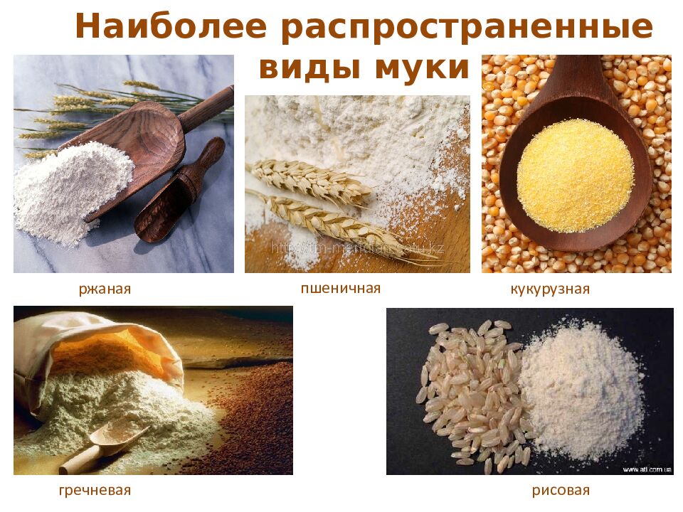 Наиболее распространенные виды муки