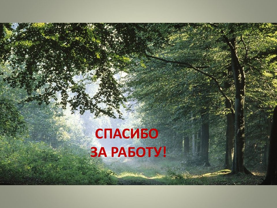 Окружающий мир 4 класс лес и человек. Леса России презентация 4 класс. Леса России 4 класс окружающий мир. Презентация леса 4 класс. Проект леса России.