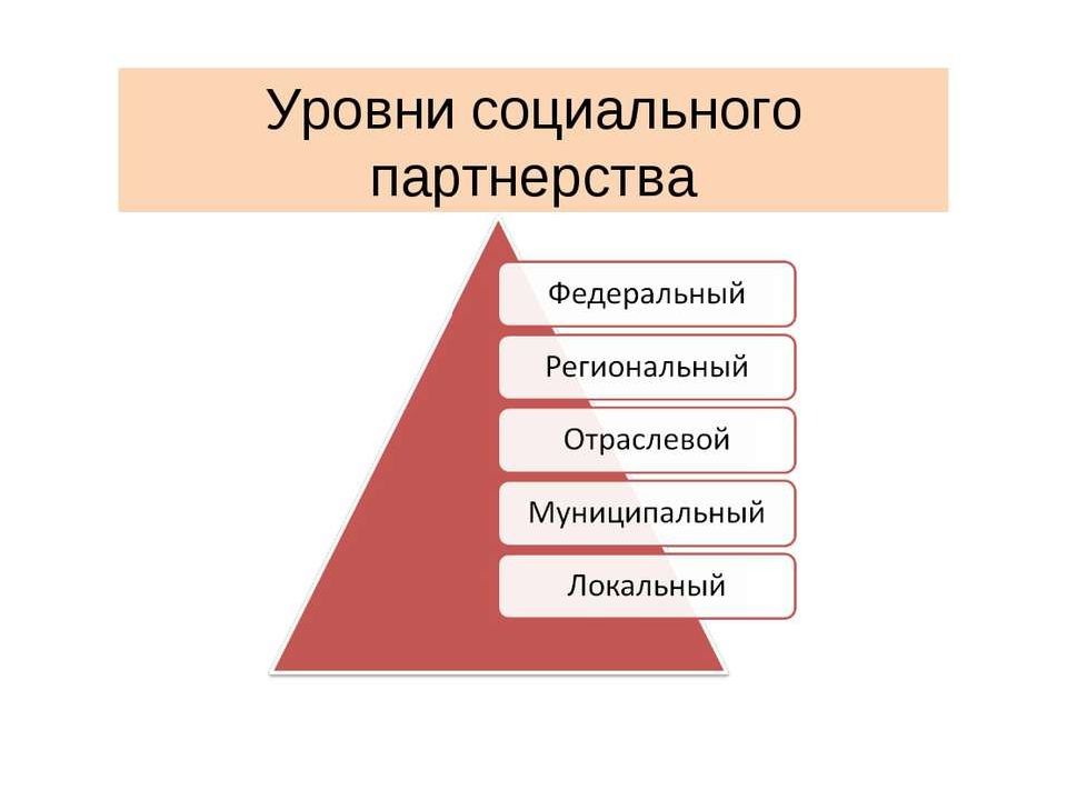 Проект социального партнерства