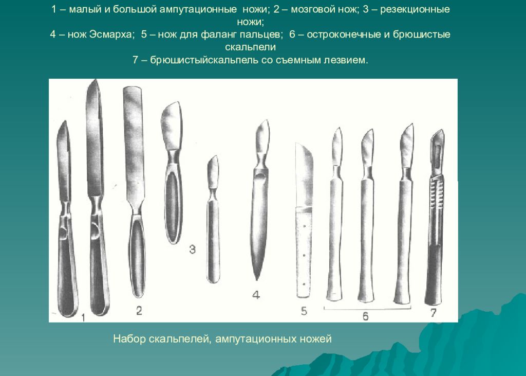 Острый нож хирурга 6 букв. Ампутационный нож топографическая анатомия. Хирургические ножи резекционные и ампутационные. Ампутационные ножи Оперативная хирургия. Скальпель ампутационный.