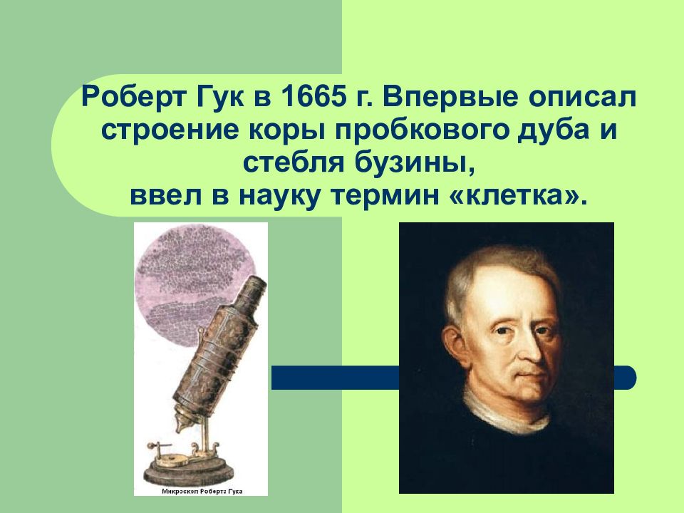 Гук н м. Р. Гук (1665 г) - ?.