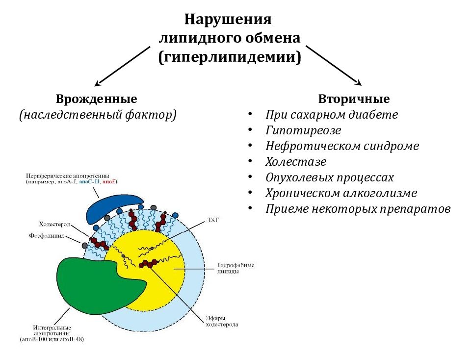 Преимущественно