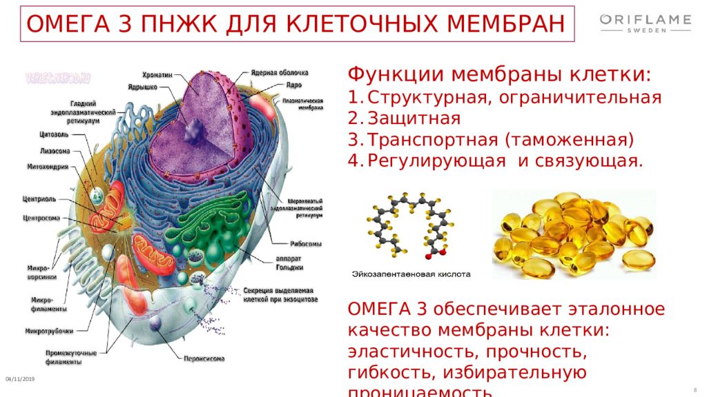 Омега 3 проект