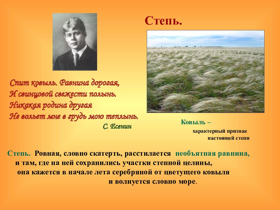 Подберите из научной литературы описание равнин. Степи русской равнины. Природные комплексы равнины. Природные комплексы Восточно-европейской равнины 8 класс презентация. Природный комплекс степи.