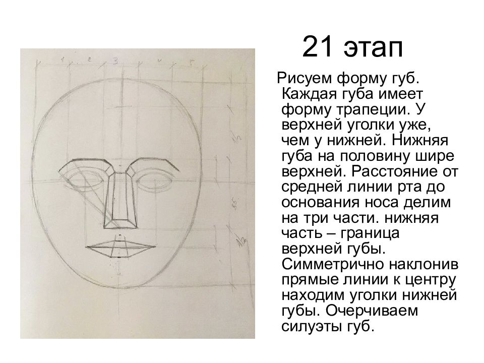 Пропорции головы человека презентация