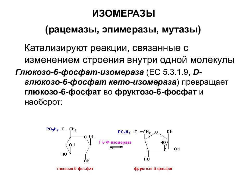 Ферменты примеры реакций. Изомеразы Тип катализируемой реакции. Мутазы и изомеразы. Изомеразы примеры ферментов. Изомеразы в биохимии примеры.