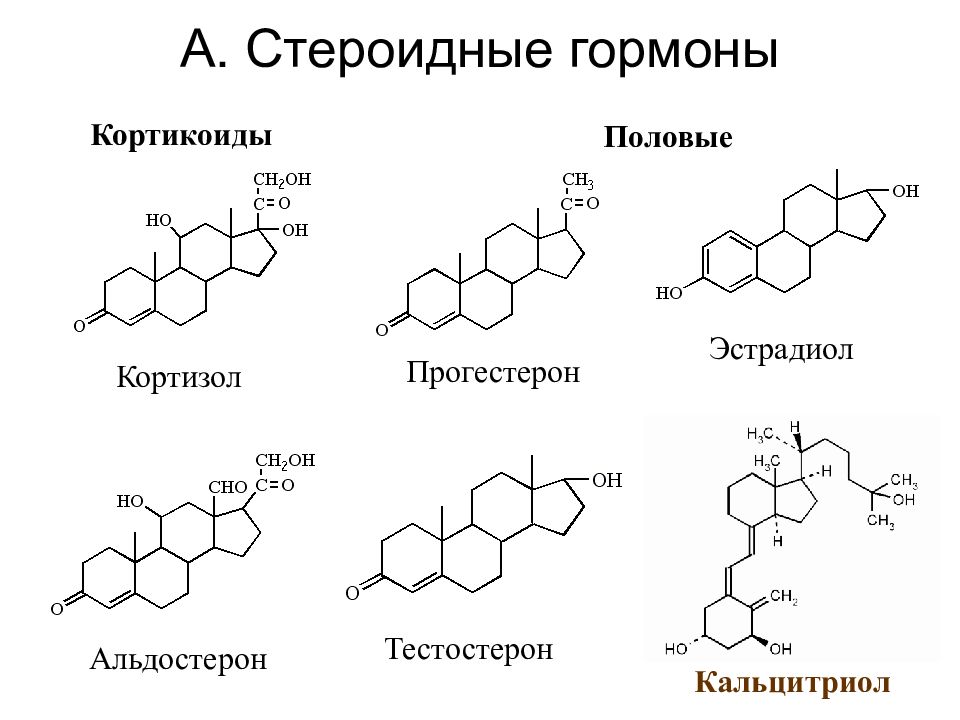 Гормон кортизол презентация