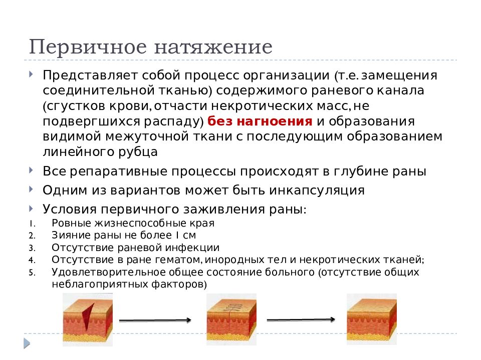 Вторичная рана. Заживление РАН первичным натяжением. Заживление РАН вторичным натяжением. Первичное и вторичное заживление РАН. Заживление РАН по первичному и вторичному натяжению.