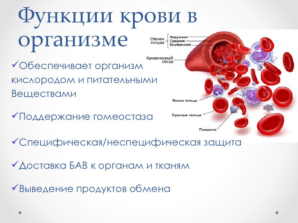 Признак инфицирования крови во флаконе тест