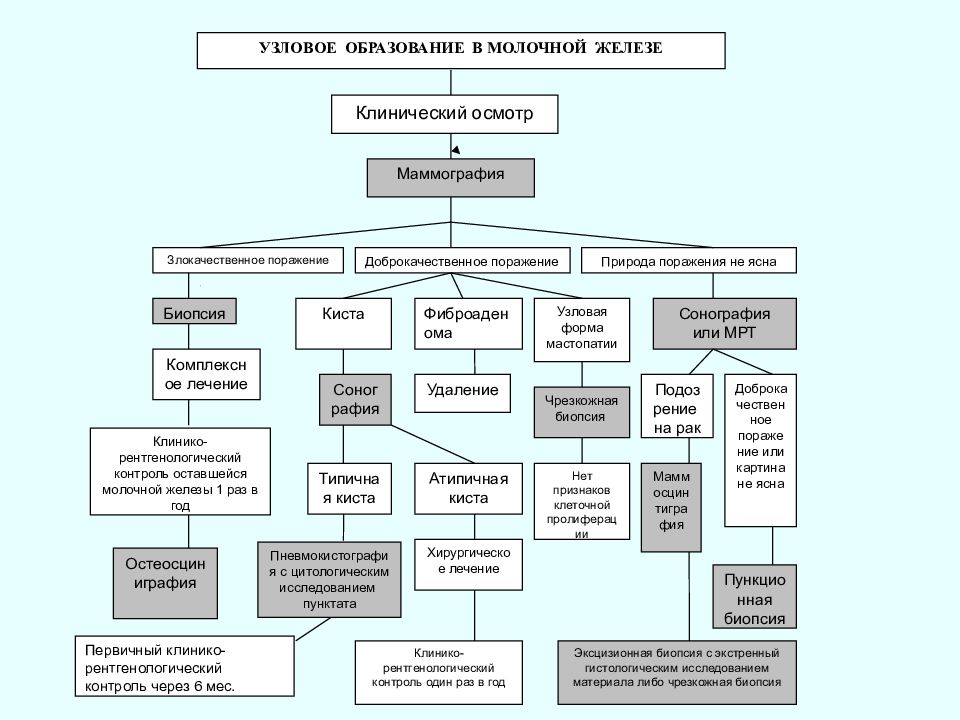 Хирургические заболевания молочной железы презентация