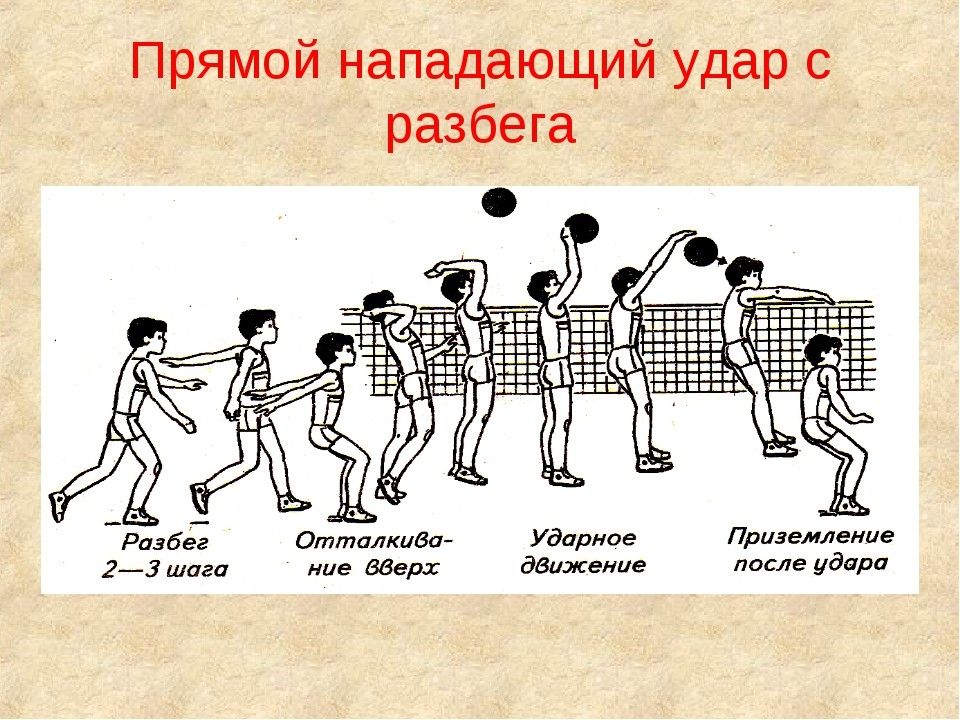 Овладение спортивной техникой волейбола в процессе обучения осуществляется по следующей схеме