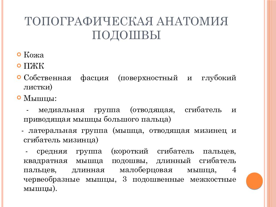 Топографическая анатомия нижней конечности презентация