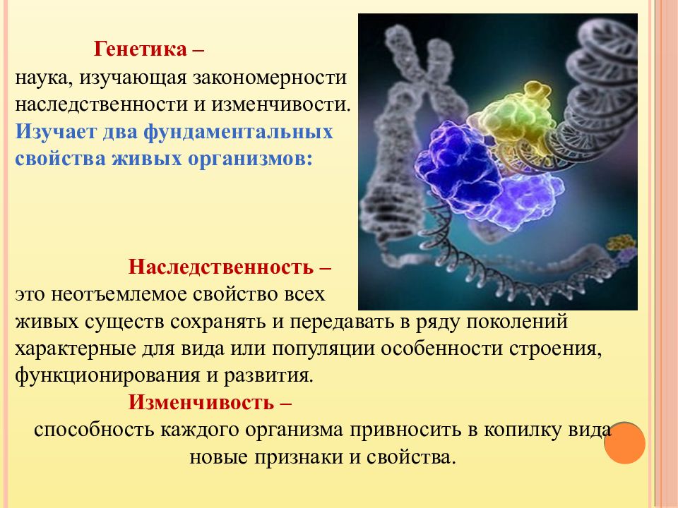 Изменчивость генетика презентация