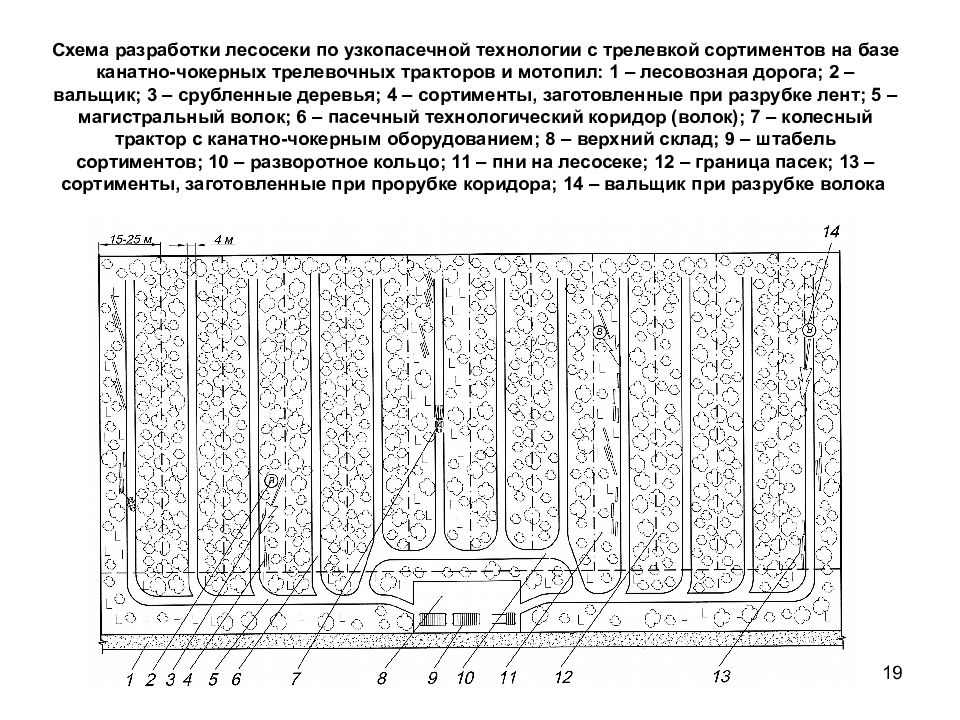 Технологическая карта лесосеки