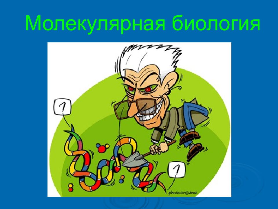 Молекулярная биология
