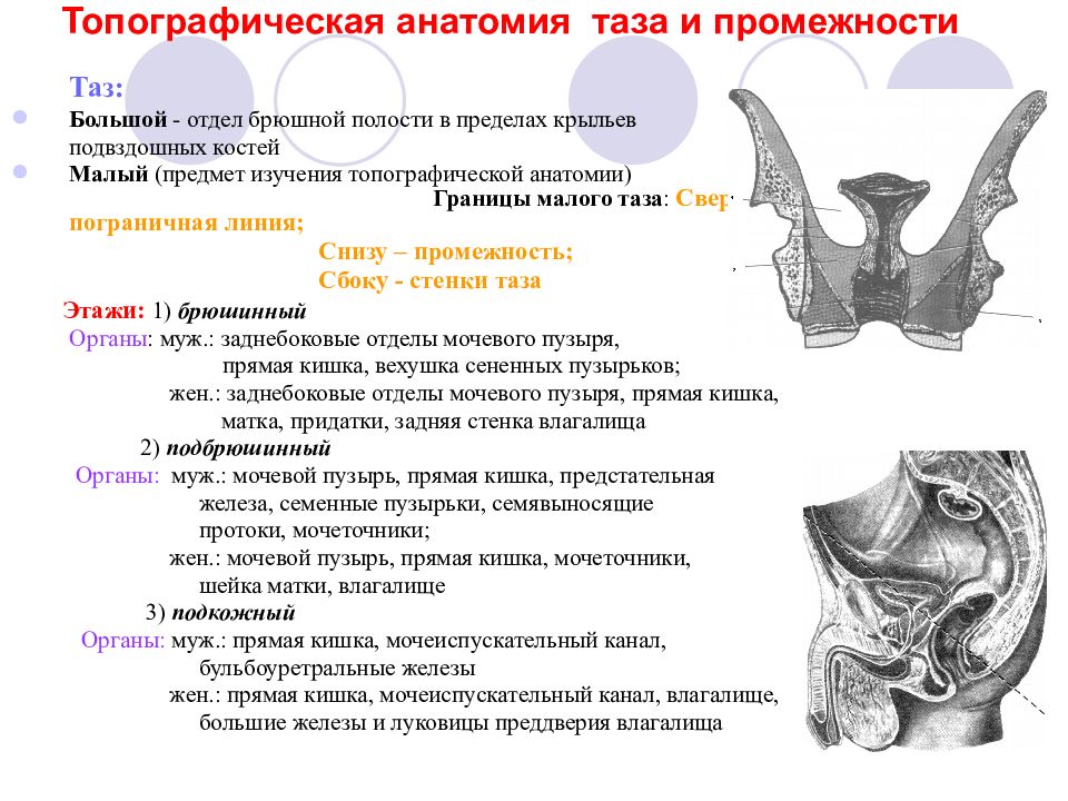 Анус и влагалище трахнуты огромным членом