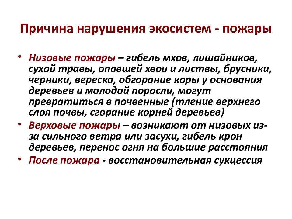 Саморазвитие экосистем сукцессии презентация