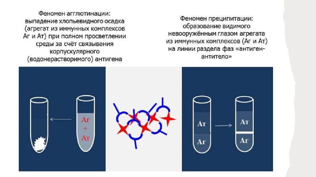 Реакция агглютинации микробиология презентация