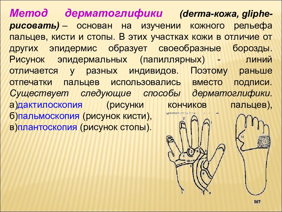 Метод основанный на изучении папиллярных рисунков ладоней подушечек пальцев и стоп