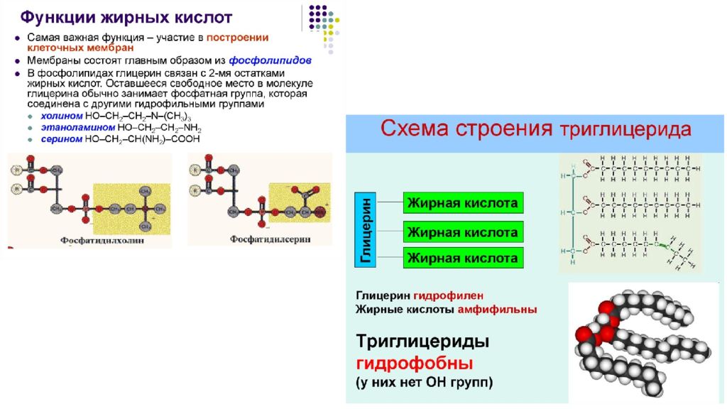 Строение кислот