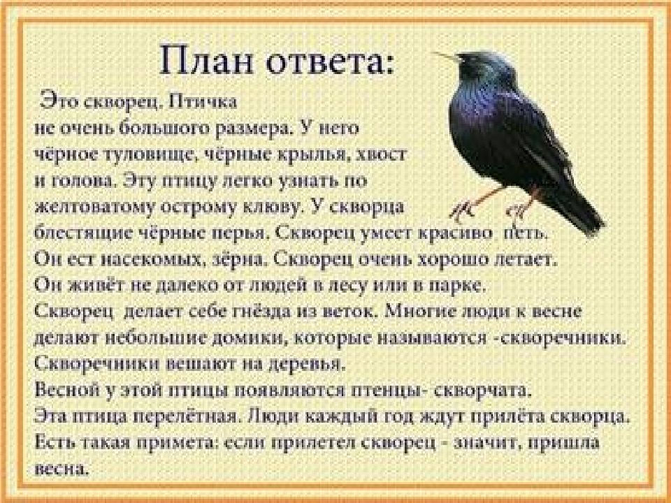 Птичка ответы. Рассказ о перелетных птицах. Произведения о перелетных птицах для дошкольников. Рассказ о перелетных птицах для дошкольников. Перелетные птицы рассказать детям.