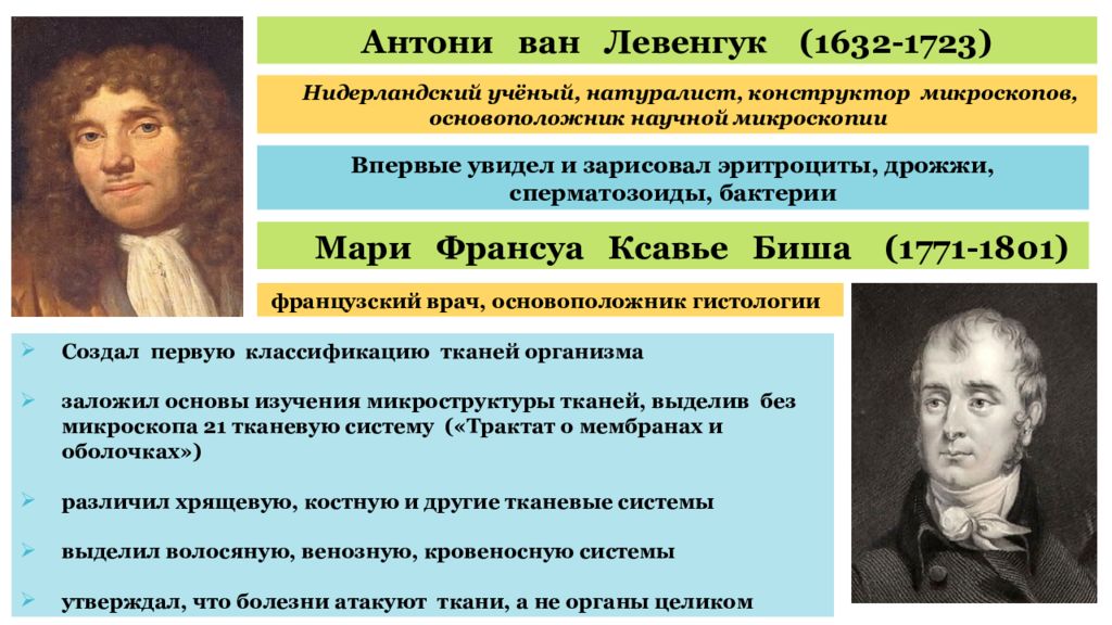 Философия и медицина нового времени презентация