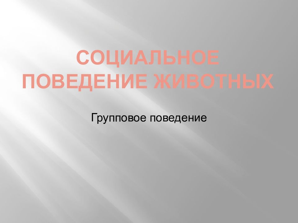 Социальное поведение животных. Общественное поведение животных. Социальное групповое поведение животных. Общественное поведение животных презентация.