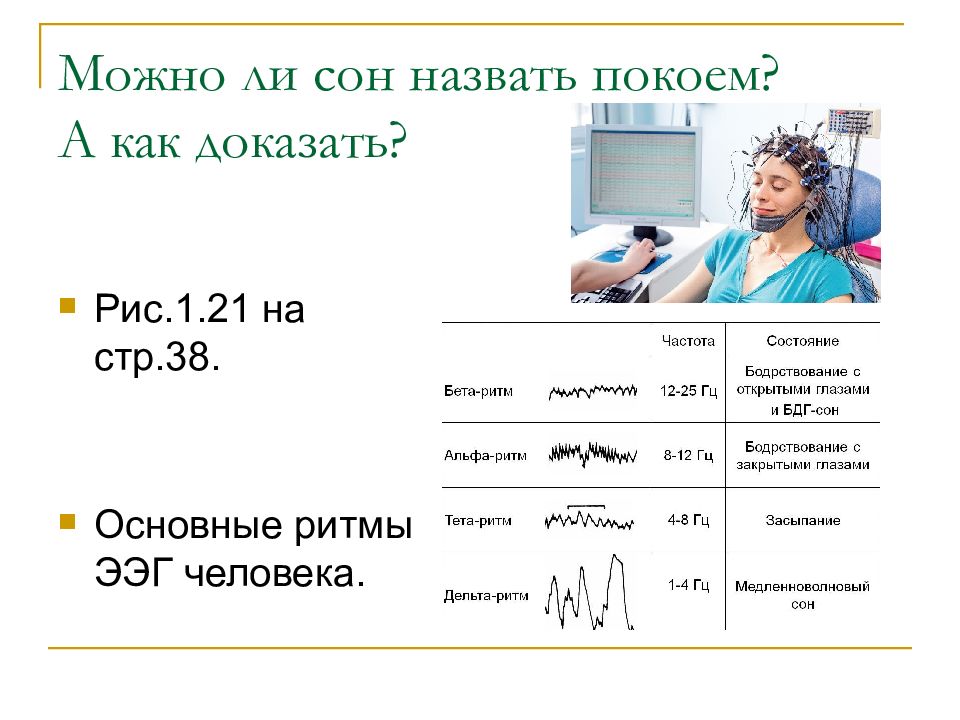 Сон и бодрствование презентация 8 класс