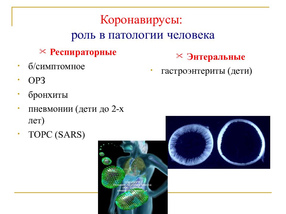 Презентация про коронавирус