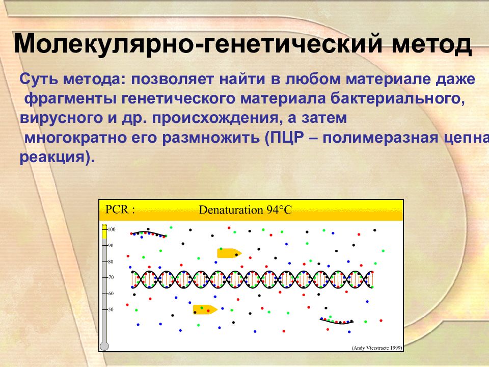 Молекулярно генетические методы исследования